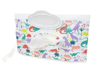 Itzy Ritzy Dinos Wipe Case