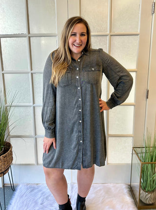 Curvy Ash Denim Dress