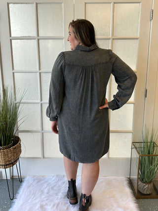 Curvy Ash Denim Dress